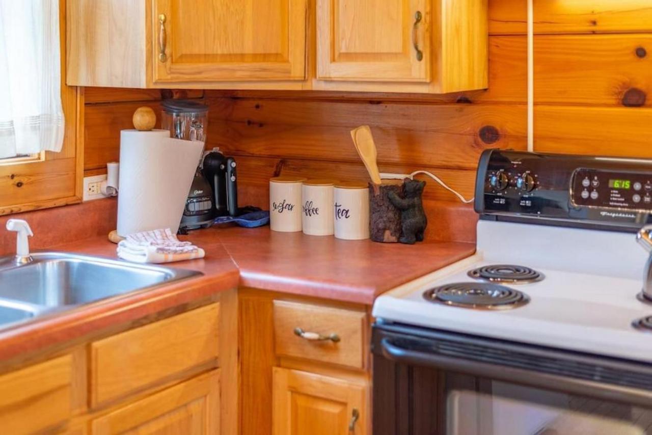 Log Cabin Stunning Mountain Views On 12 Acres Candler Exterior photo